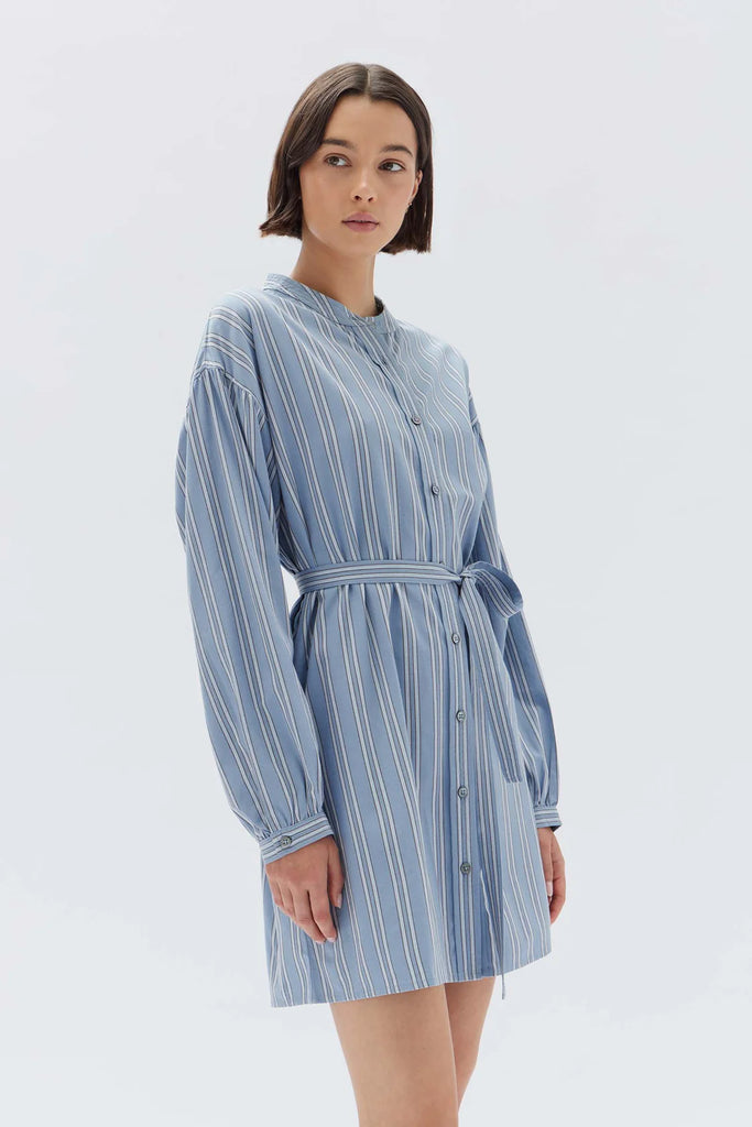 Assembly - Luna Cotton Blend Stripe Mini Dress - Glacial Stripe