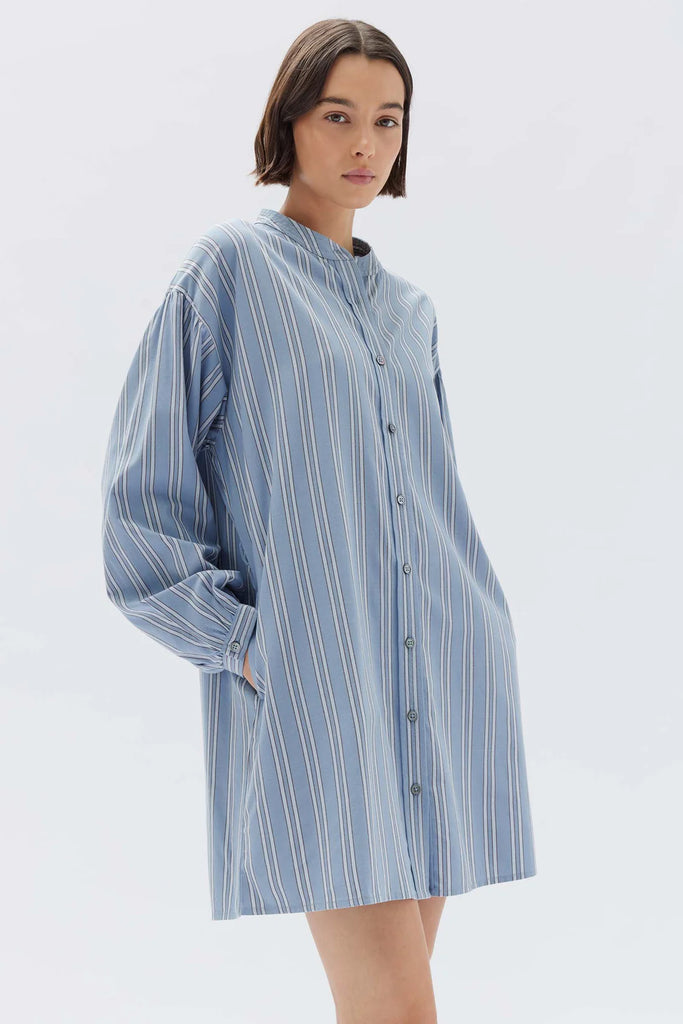 Assembly - Luna Cotton Blend Stripe Mini Dress - Glacial Stripe